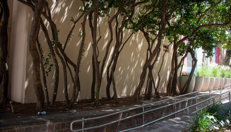 Plazoleta Dr. Joaquín Zabala