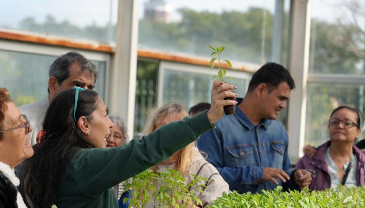Visitas guiadas en el Paseo Ambiental del Sur 