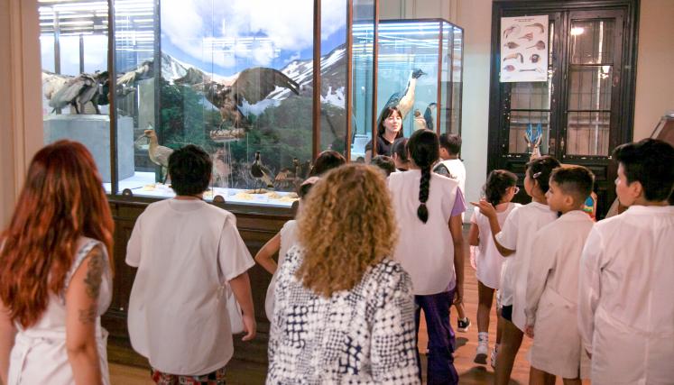 dia de los museos 6