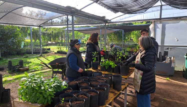 Voluntariados en el CIFA