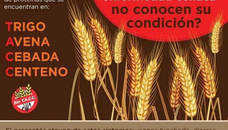 Taller de "Elaboración segura de Alimentos sin TACC"