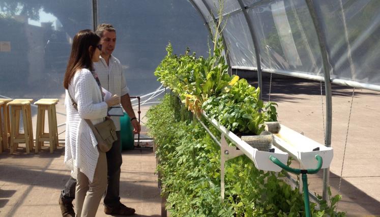 Las Escuelas Verdes crecen en la Ciudad. Foto: Escuelas Verdes/GCBA.