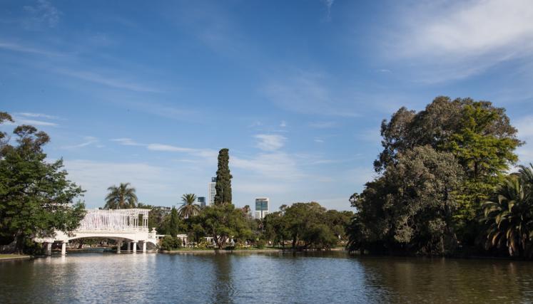 Imágenes del Rosedal a 100 años de su inauguración. Foto: Estrella Herrera/GCBA.