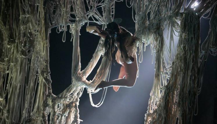 Polo Circo presenta a la compañía sueca Cirkus Cirkör. Foto de Polo Circo.