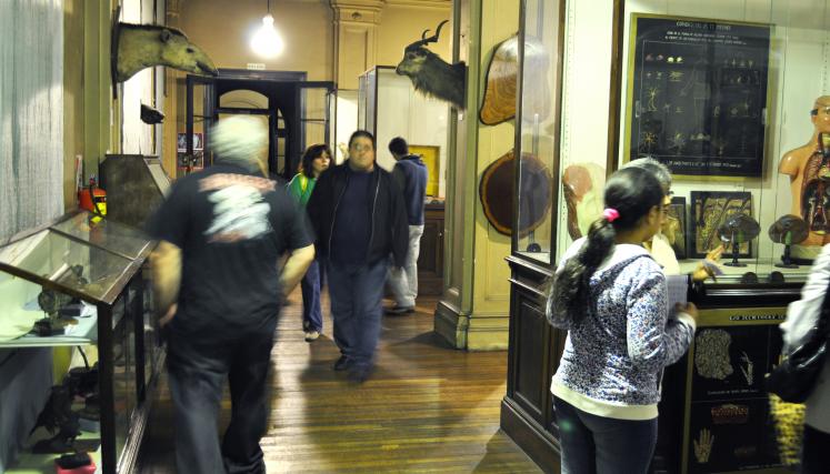 Sala de Ciencias Naturales, actualmente se encuentra en reparación. En los orígenes del Primer   Museo para la Escuela Primaria esta sala se denominó Museo Ángel Gallardo.