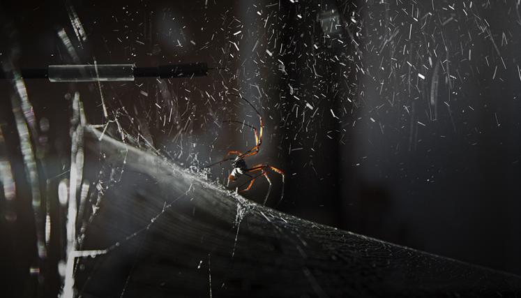 Tomás Saraceno. Cómo atrapar el universo en una telaraña. Foto del Studio Tomás Saraceno.