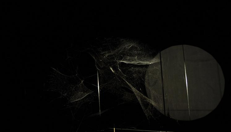 Tomás Saraceno. Cómo atrapar el universo en una telaraña. Foto de Sabrina Montero-gv/GCBA.
