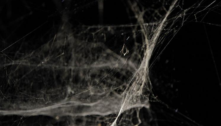 Tomás Saraceno. Cómo atrapar el universo en una telaraña. Foto de Sabrina Montero-gv/GCBA.