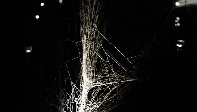 Tomás Saraceno. Cómo atrapar el universo en una telaraña. Foto de Sabrina Montero-gv/GCBA.