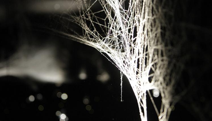 Tomás Saraceno. Cómo atrapar el universo en una telaraña. Foto de Sabrina Montero-gv/GCBA.