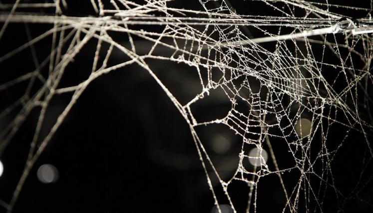 Tomás Saraceno. Cómo atrapar el universo en una telaraña. Foto de Sabrina Montero-gv/GCBA.