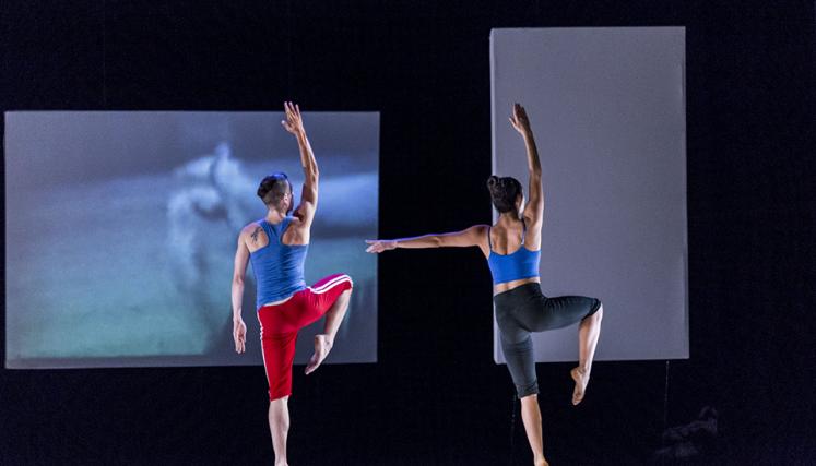Festival Buenos Aires Danza Contemporánea. Foto de Festivales/GCBA.