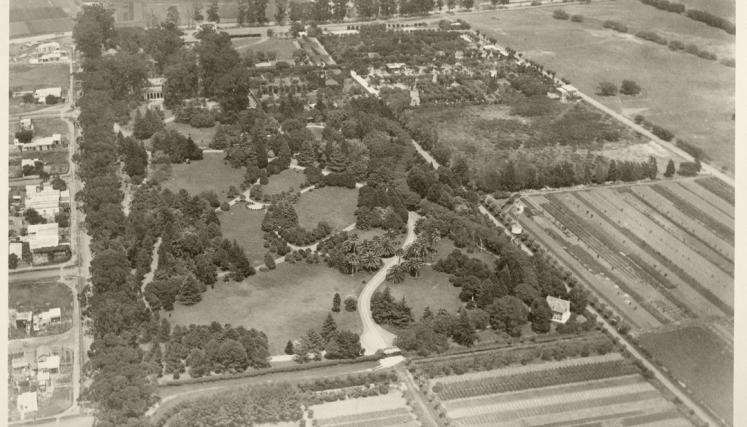 Vista aérea este de la chacra 